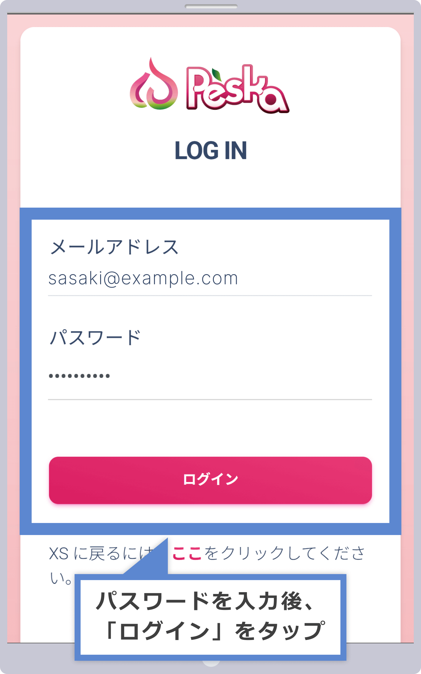 Peskaへログイン